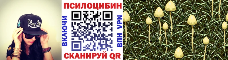 Галлюциногенные грибы MAGIC MUSHROOMS  где купить наркоту  МЕГА вход  Каргополь 